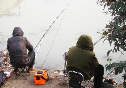 爆料钓鱼被打视频播放,正义何时能伸张？